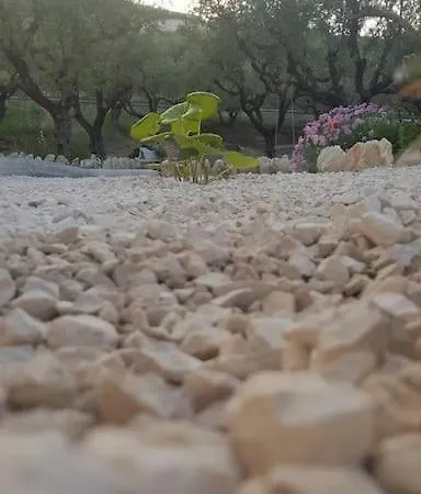 Olive Grove Private Villa Lithakia (Zakynthos)