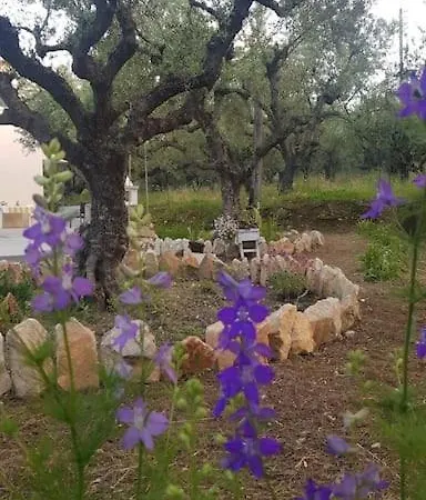 Villa Olive Grove Private
