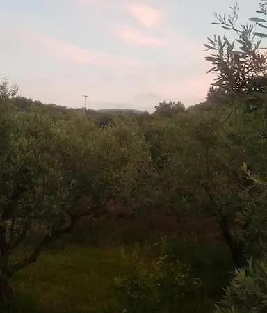 Olive Grove Private *